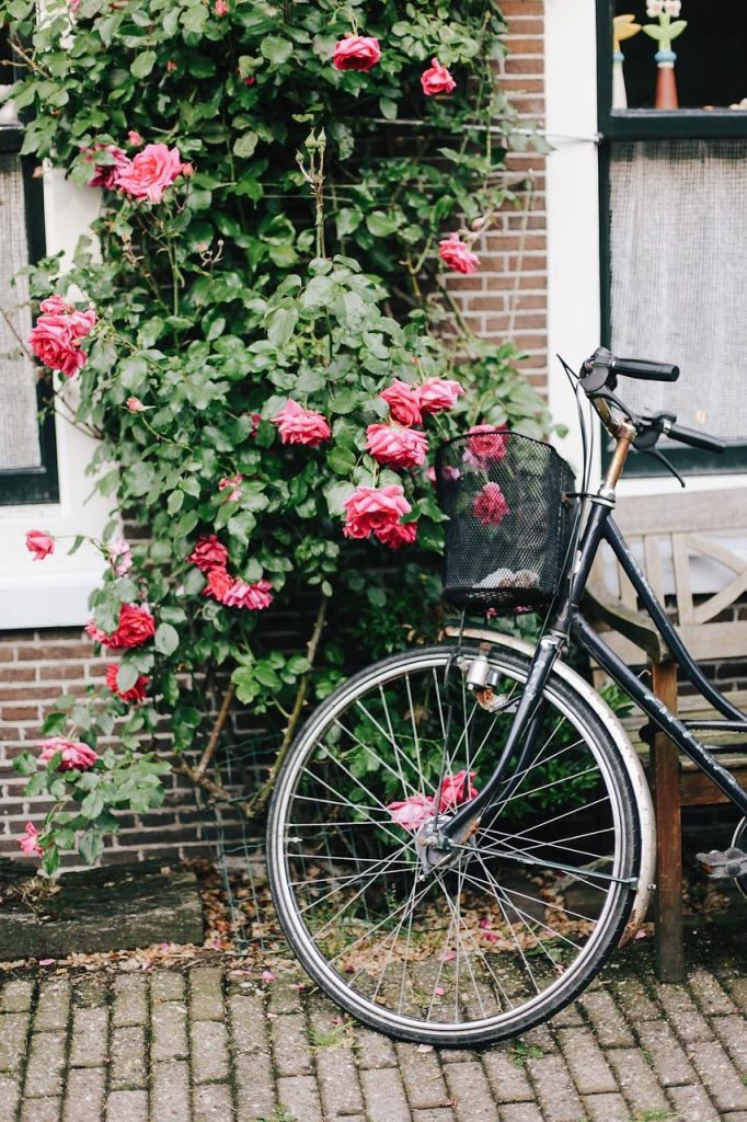 Moderne elektrische fiets als duurzame vervoersoptie met geavanceerde batterij en lichtgewicht materialen