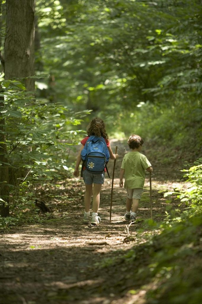 Pittoresk landschap met bossen en wandelpaden in Zeist, ideaal voor natuurliefhebbers en wandelaars